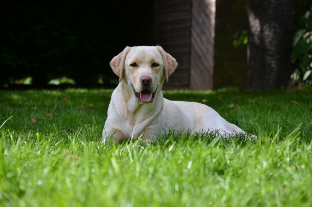 Ki Kalonek Una belissima